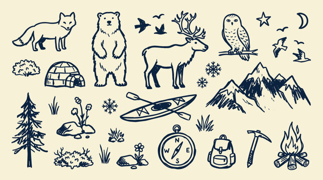 Hand drawn collection of arctic animals and camping gear icons for outdoor adventure and wilderness exploration