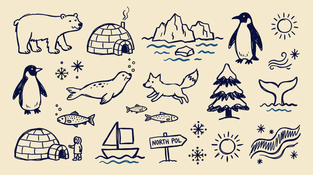 Charming hand-drawn collection of arctic animals and winter elements for children's design and educational purposes