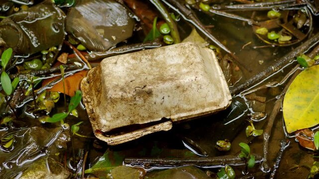 Plastic Waste and Styrofoam Polluting Mangrove Wetland and Damaging Brackish Water Ecosystem Habitat.     Non Biodegradable Plastic Trash Accumulating in Mangrove Mudflat and Coastal Swamp Environment