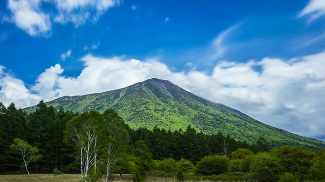 雲が流れる男体山と戦場ヶ原　白樺 唐松 酸実（ズミ）
