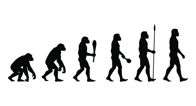 Human evolution vector graphic illustration showing stages from ape to modern man