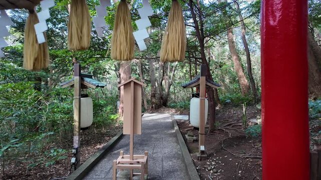 A gimbal walk through a lush forest path passing under a red torii gate decorated with straw ropes and white paper lanterns leading to a small altar