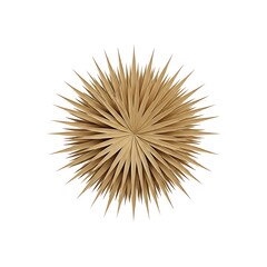 Obraz premium Dried palm leaf starburst wall decoration isolated on white background