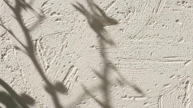 Textured plaster wall surface with soft dappled shadows from leaves and branches, natural light creating atmospheric patterns