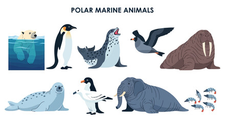 Polar marine animals illustration set. © Kenywanch