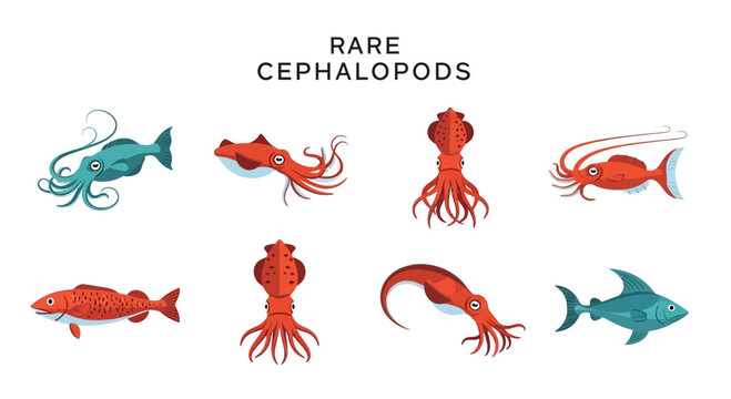 Rare Cephalopods and Marine Life Forms.