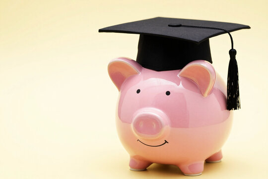 Pink piggy bank wears graduation cap.
