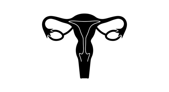 Black silhouette icon of the human female reproductive system.