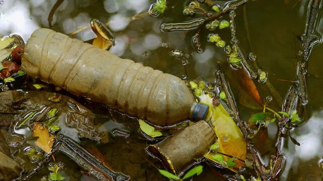 Human Plastic Pollution Damaging Mangrove Habitat and Aquatic Ecosystem in Coastal Wetland. Non Biodegradable Plastic Trash Accumulating in Mangrove Mudflat and Coastal Swamp Environment