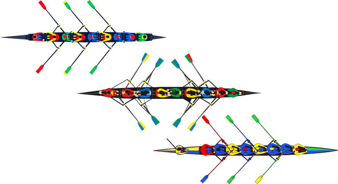 Rowing crew team in racing shells, top view of colorful sculling boats with oars, professional rowing competition vector illustration