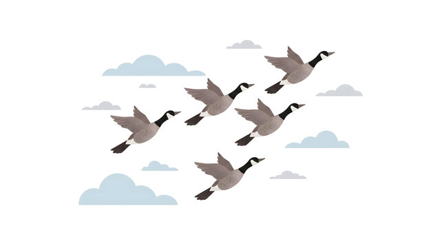 Illustration of migratory birds flying in a V formation across the sky, symbolizing teamwork and nature conservation