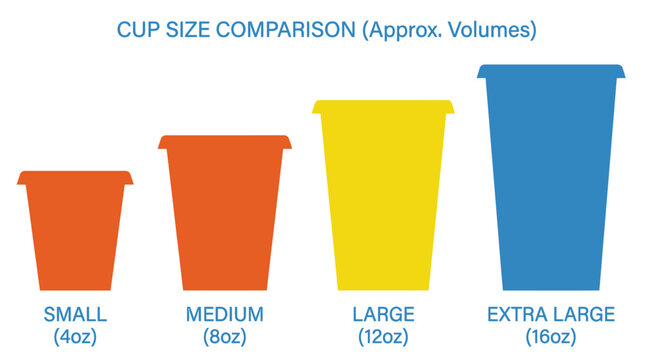 Visual Guide to Drink Cup Sizes Small, Medium, Large, and Extra Large Volumes
