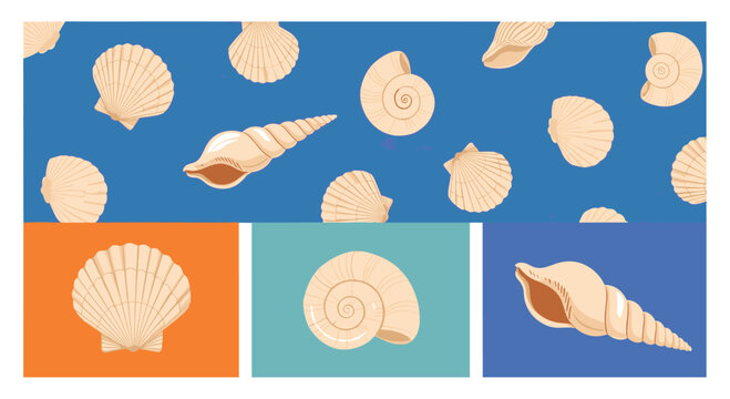 Set of various seashell illustrations including scallops and spiral shells on colorful blue and orange backgrounds for summer themes.