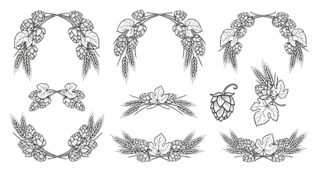 Beer brewery ingredient frames with hops and wheat vintage style hand drawn engraving illustration set for pub and bar labels.