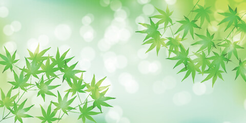 Naklejka premium Fresh green maple leaves on a bright bokeh background