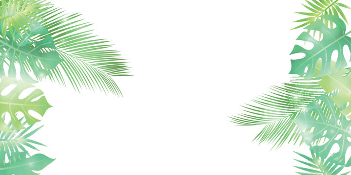 Tropical palm and monstera leaves border frame design