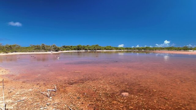 serene panoramic view of a vibrant pink salt lake in a remote wilderness, showcasing unique geological wonders and pristine natural beauty in Los Roques Venezuela