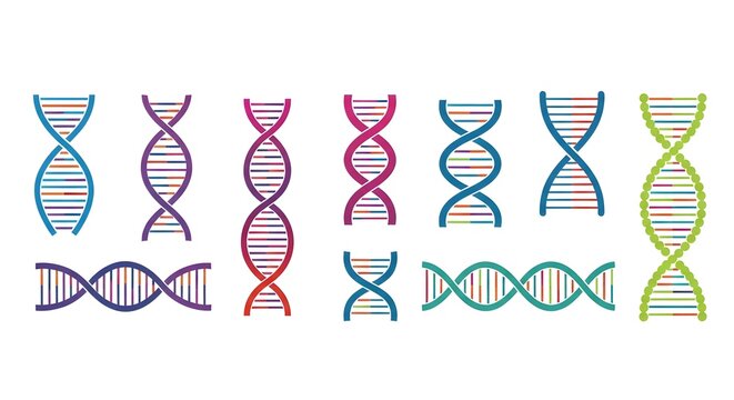 Colorful DNA Double Helix Strand Variations for Genetic Research and S