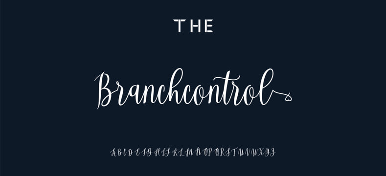 Hand drawn vector alphabet. Modern monoline signature script font. Elegant Signature Font. Best Alphabet Beautiful Calligraphy Signature Font