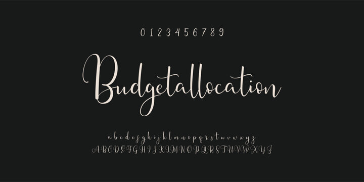 signature Font Calligraphy Logotype Script Brush Font Type Font lettering handwritten