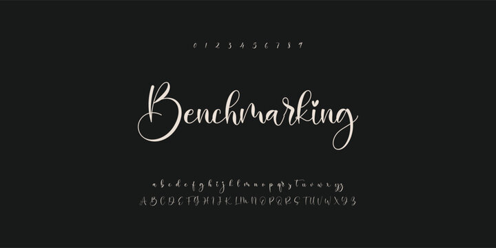 signature Font Calligraphy Logotype Script Brush Font Type Font lettering handwritten