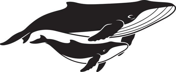 Whale silhouette vector set, humpback whale swimming poses illustration, black and white. © KhandkerMuhit