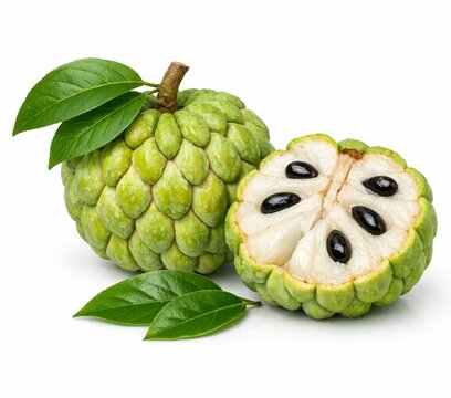 Fresh ripe sugar apple or custard apple with half slice showing white flesh and black seeds. Sweet tropical fruit isolated on white background.