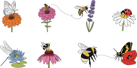Collection of charming insects on colorful flowers hand-drawn vector illustrations for nature and garden themes isolated on white © Ali
