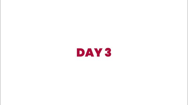 Red 'DAY 3' text on a white background, indicating sequential progress, a daily marker, or the third phase in a project or journey