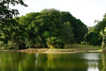 Fototapeta premium Tasik Taiping Lake Gardens Landscape