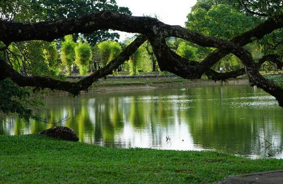 Tasik Taiping Lake Gardens Landscape
