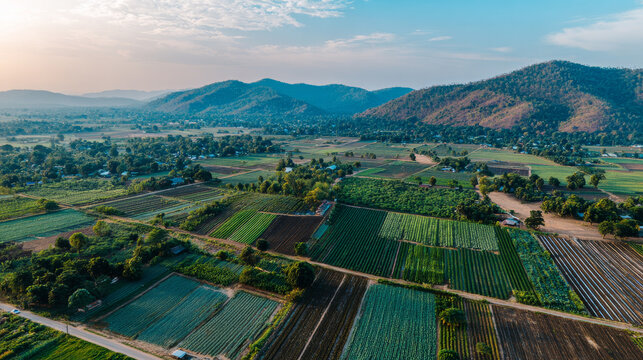 Cultivated land and land plot or land lot. Consist of aerial view of green field, agricultural plant and ridge. That is tract of land for cultivate, owned, sale, development, rent, buy or investment.