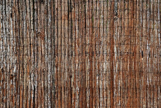 pine bark wood slat fence and gate closeup detail. brown scaled natural wood texture held in place by galvanized wire mesh. narrow vertical strips. environmentally friendly exterior design. front view