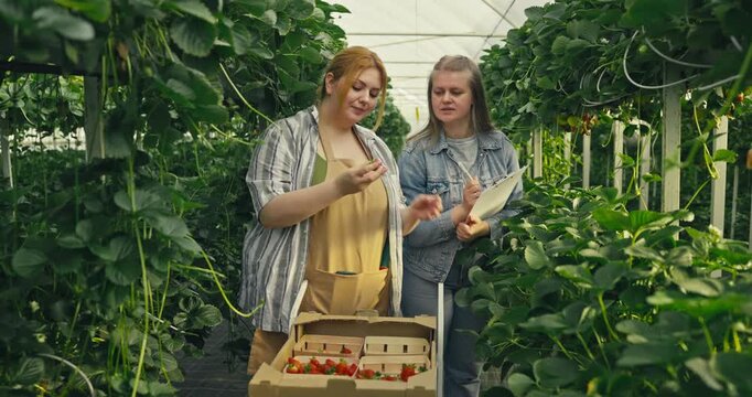 Two women look at plants and talk about the harvest process while standing in a greenhouse in summer