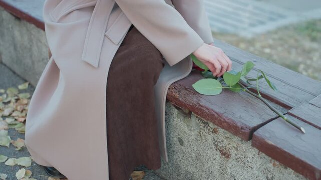 Caucasian lady places red flower on seat. Woman with beige coat and white scarf in thoughtful departure. Elegantly dressed woman with rose and autumn leaves expresses silent farewell