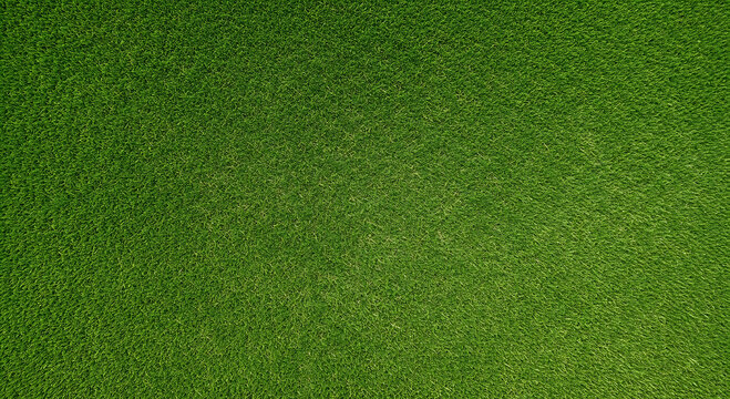 A fresh green grass texture covering a natural outdoor field with a soft patterned lawn look perfect for garden park or sports ground use