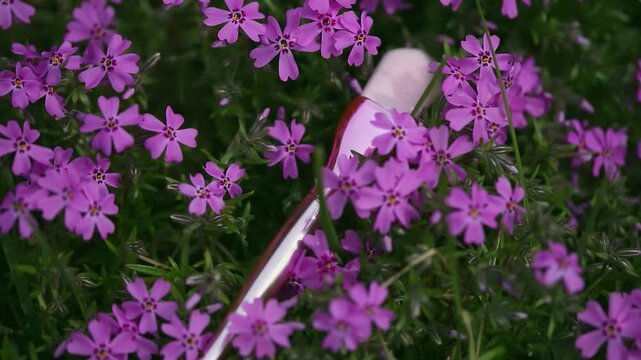 Springtime skincare and beauty routine concept. Pink makeup brush set against a backdrop of blooming pink flower