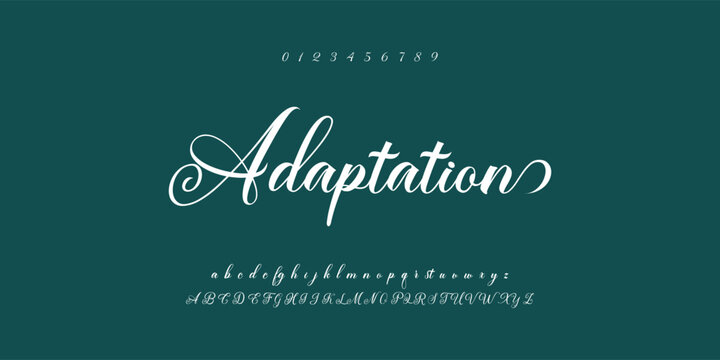 Hand drawn vector alphabet. Modern monoline signature script font. Elegant Signature Font. Best Alphabet Beautiful Calligraphy Signature Font