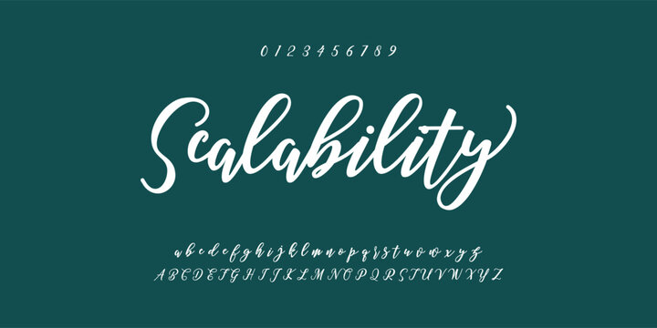 Hand drawn vector alphabet. Modern monoline signature script font. Elegant Signature Font. Best Alphabet Beautiful Calligraphy Signature Font