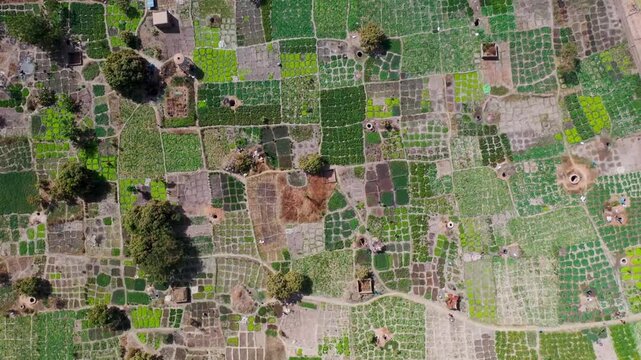 High-angle aerial view of a vibrant patchwork of community vegetable gardens and traditional irrigation wells in a rural landscape.