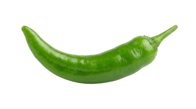 Fresh organic green chili pepper for spicy food cooking, hot serrano or jalape&ntilde;o pepper, farm fresh vegetable grocery, and healthy culinary ingredient isolated
