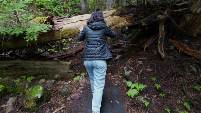 Woman hiking Chun T'oh Whudujut ancient forest trail