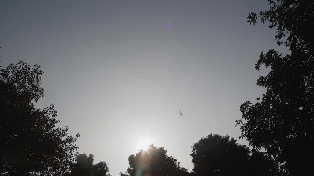 Airplane flying high in the clear sky above green trees during daytime with bright sunlight in the background. Travel, aviation, transportation, freedom and journey concept with natural outdoor scener