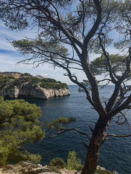 Coastal landscape in the Calanque de Port-Miou in the Calanques national park in the south of France.
