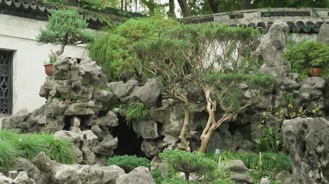 Dense rock grotto with bonsai tree, twisted trunk emerging from stone crevice, layered rock formations and low cave opening, abundant moss and verdant foliage, pebble foreground and secluded courtyard