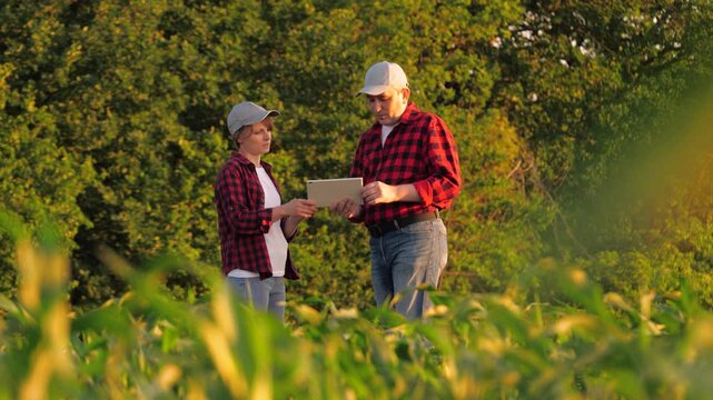 Modern farmer agronomist team analyzing use tablet innovation technology at corn field. Man and woman agricultural worker colleagues shaking hands partnership collaboration farming cultivation control