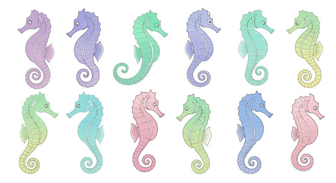 Colorful Seahorses in Various Poses.