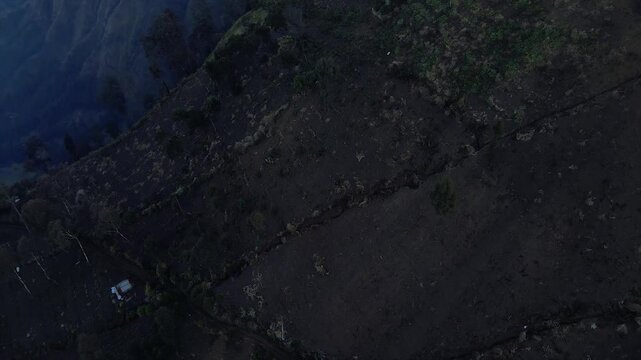 Aerial view of steep mountain farm terraces with scattered trees and small huts at dusk.