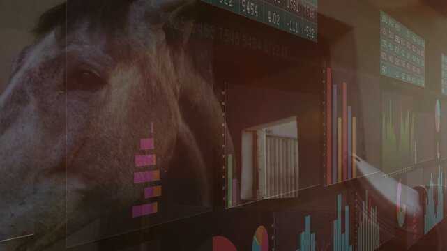 Panels appearing, charts shifting, horse head moving into view to show stable analytics blend