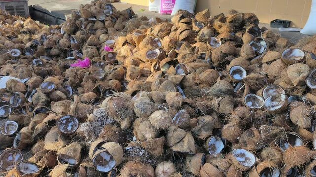 A large pile of discarded coconut shells sits at a collection point. These remains are gathered after milk extraction. They are ready for transport to a factory for recycling.